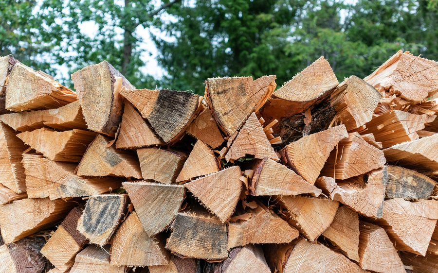 Stacked seasoned firewood