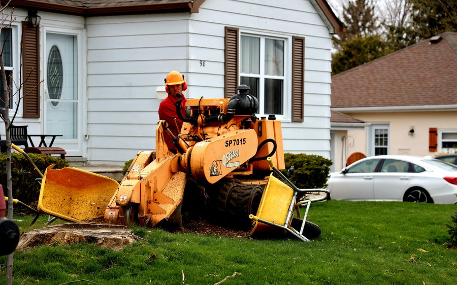 Stump grinding machine at a residential property