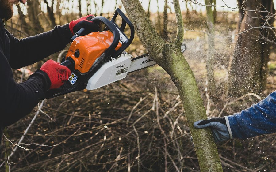 Chainsaw trimming a tree branch